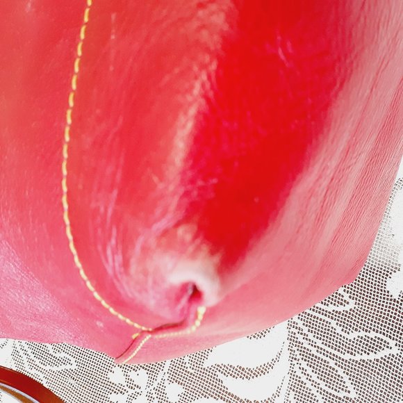 Dooney & Bourke Red Tote with Brown Accents - Picture 7 of 16